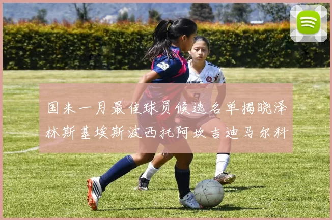 国米一月最佳球员候选名单揭晓泽林斯基埃斯波西托阿坎吉迪马尔科争夺荣誉